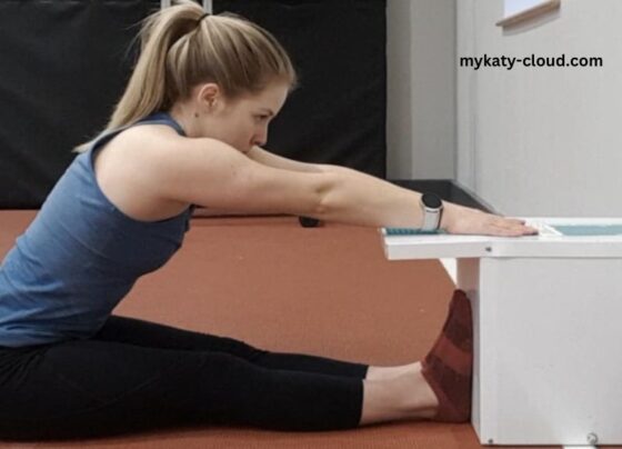 The Sit & Reach Test Measures What Health-Related Fitness Component?